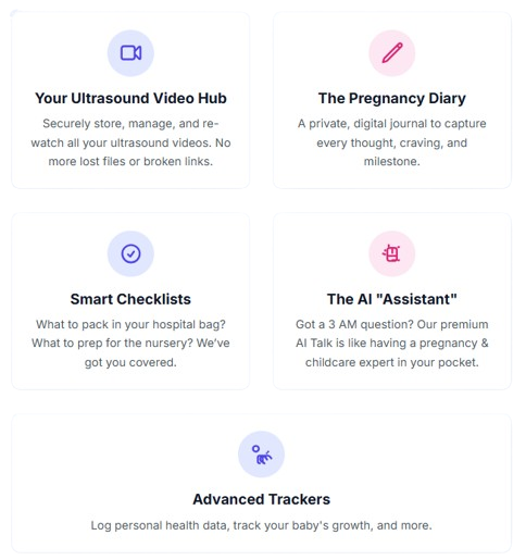 Unlock Your Full Toolkit: What's Inside Momitalk Plus?